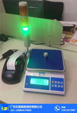 帶打印電子秤 巨衡精密儀器 帶打印電子秤小