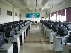 06級(jí)測(cè)控技術(shù)與儀器專業(yè)學(xué)雷鋒活動(dòng)總結(jié)