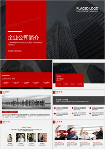 歐美風企業介紹PPT模板 在熊貓辦公一鍵獲取專業應用軟件服務公司簡介方案